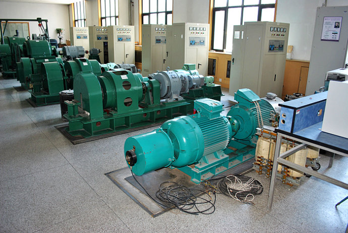蓝山某热电厂使用我厂的YKK高压电机提供动力